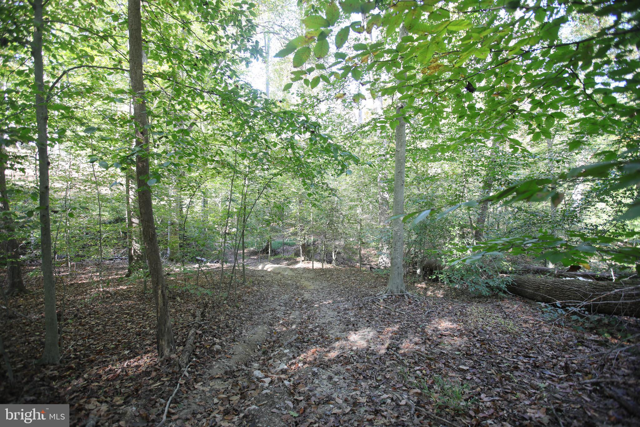 MCGRATH LAKE JACKSON SHO - Residential