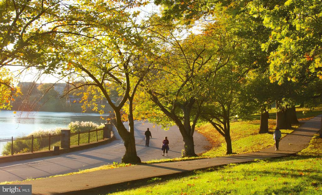 DRUID HILL PARK - Residential