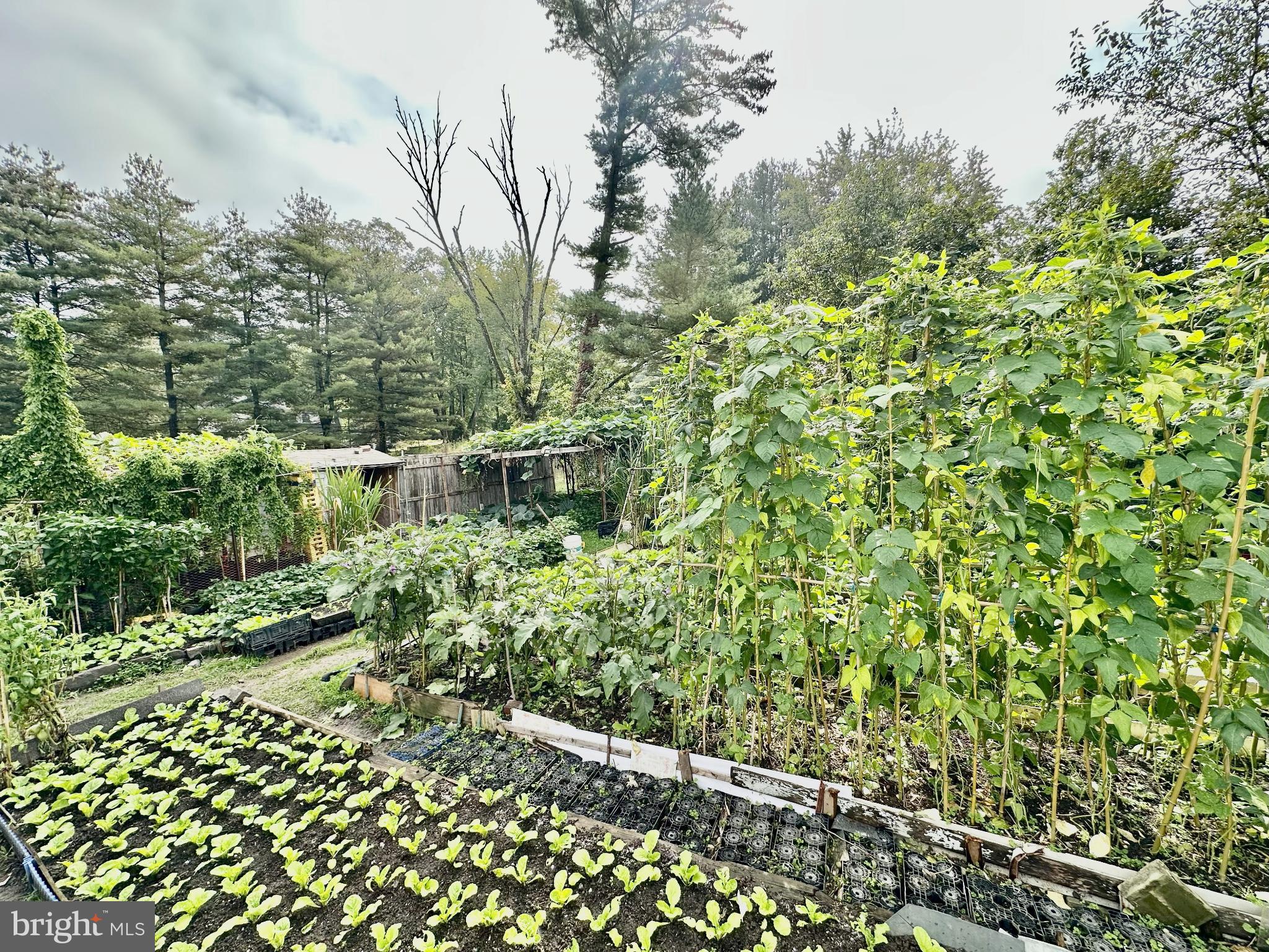 WRIGHTSTOWN HUNT - Residential Lease