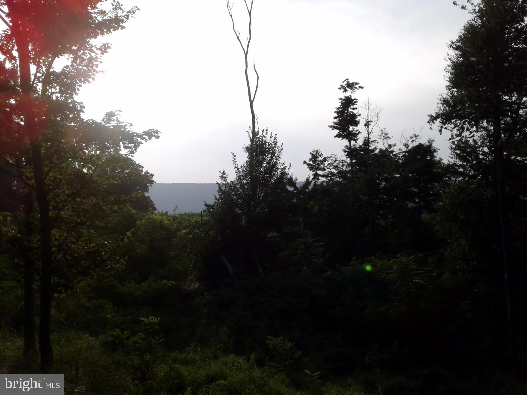 NONE AVAILABLE - Land