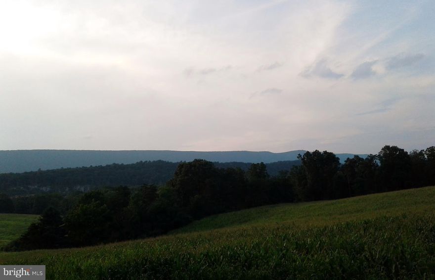Enjoy a Beautiful view of Cacapon Mountain from this large 3.93 acre parcel just seconds from Cacapon State Park.  One of only Four Parcels available with limited restrictions, and not in a subdivision.  Septic Permit and Well Permit obtained.