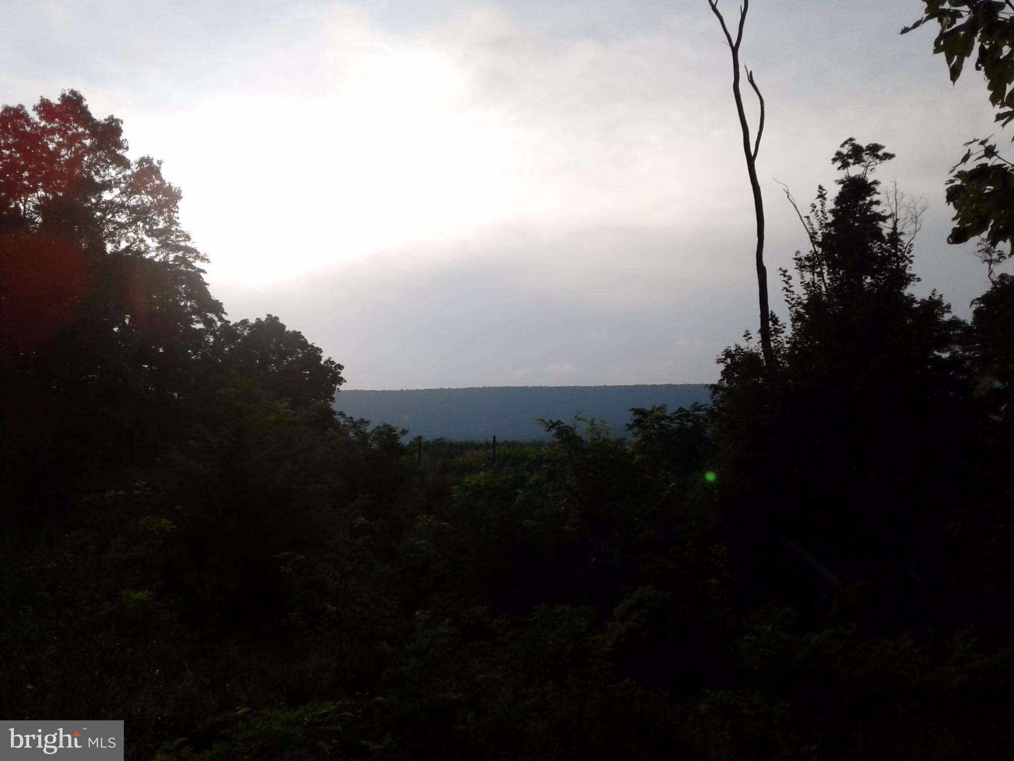 NONE AVAILABLE - Land