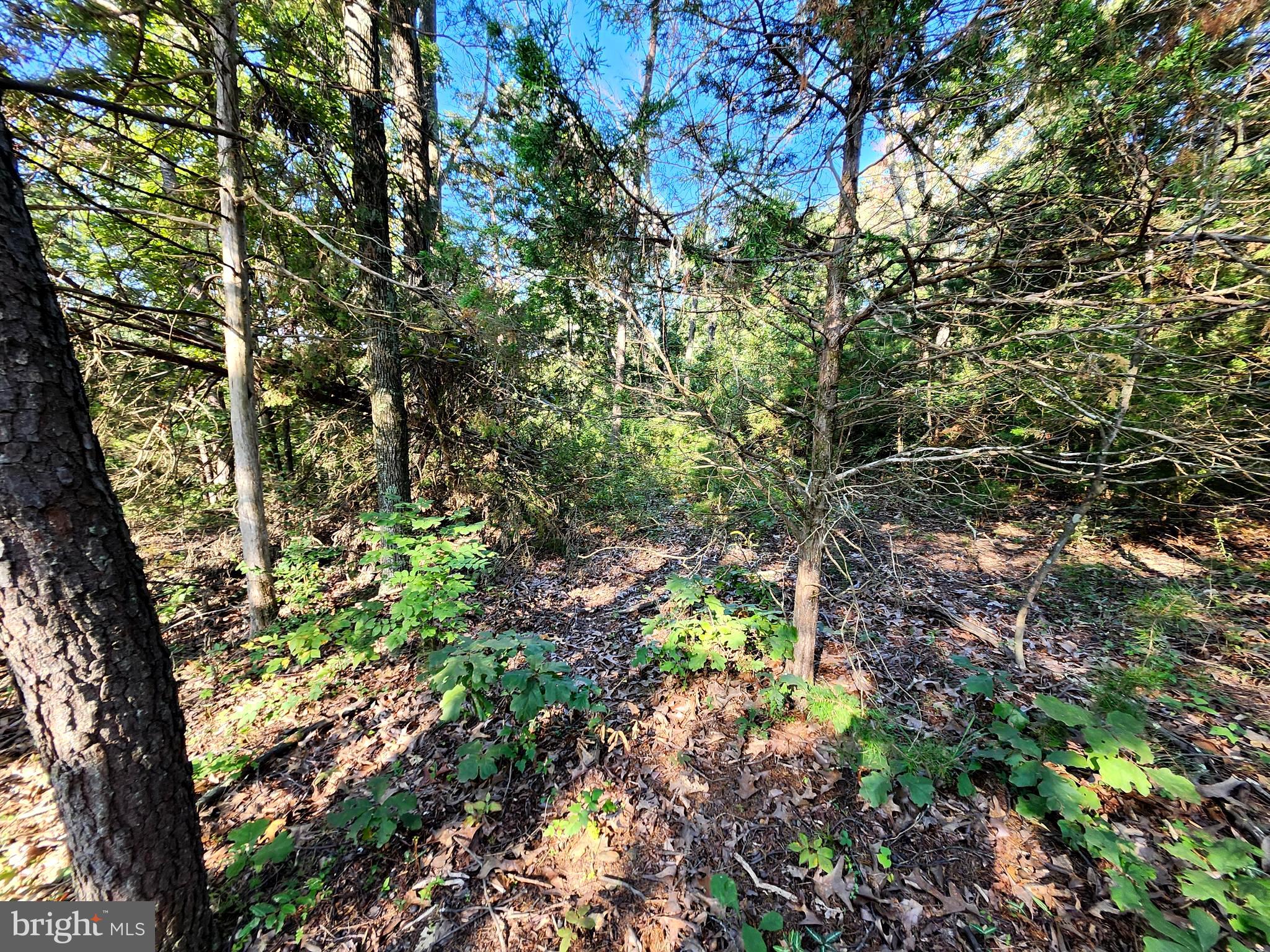 NORTH RIVER BEND - Land