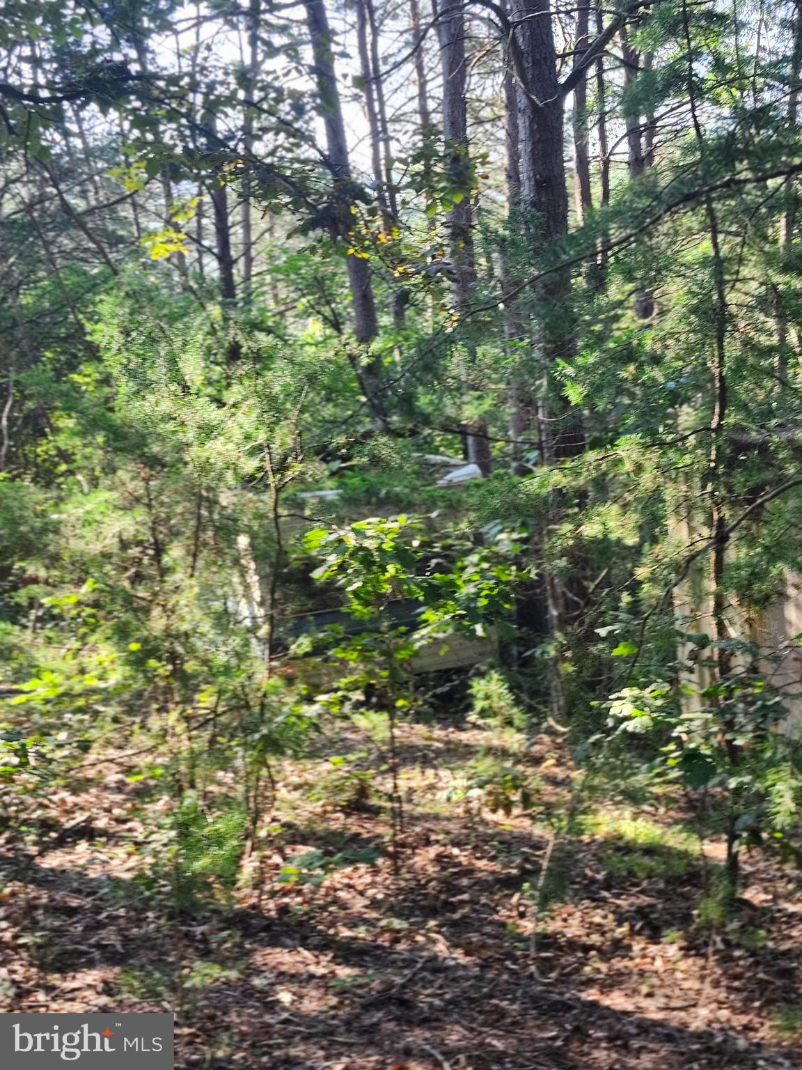 NORTH RIVER BEND - Land