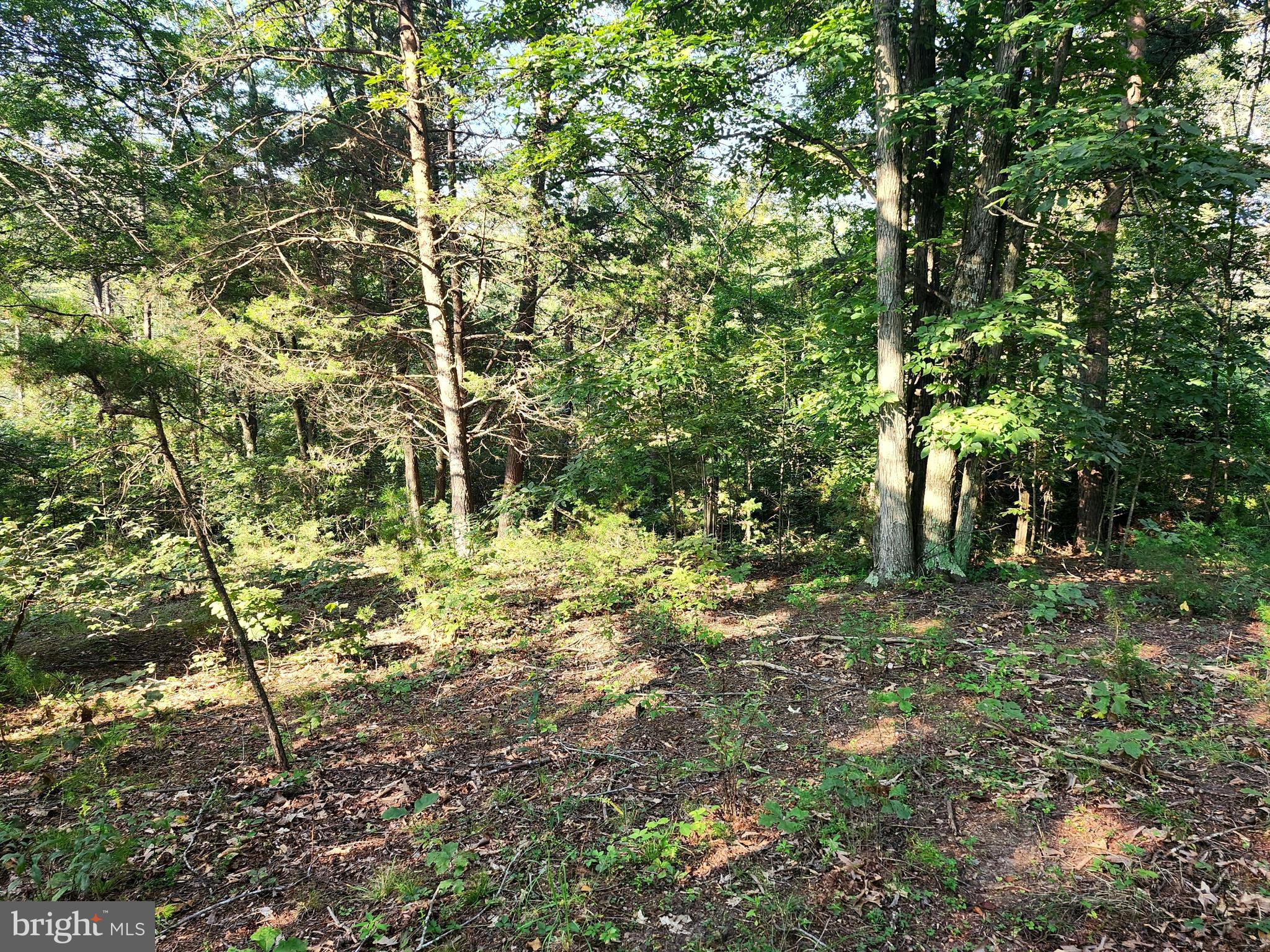 NORTH RIVER BEND - Land