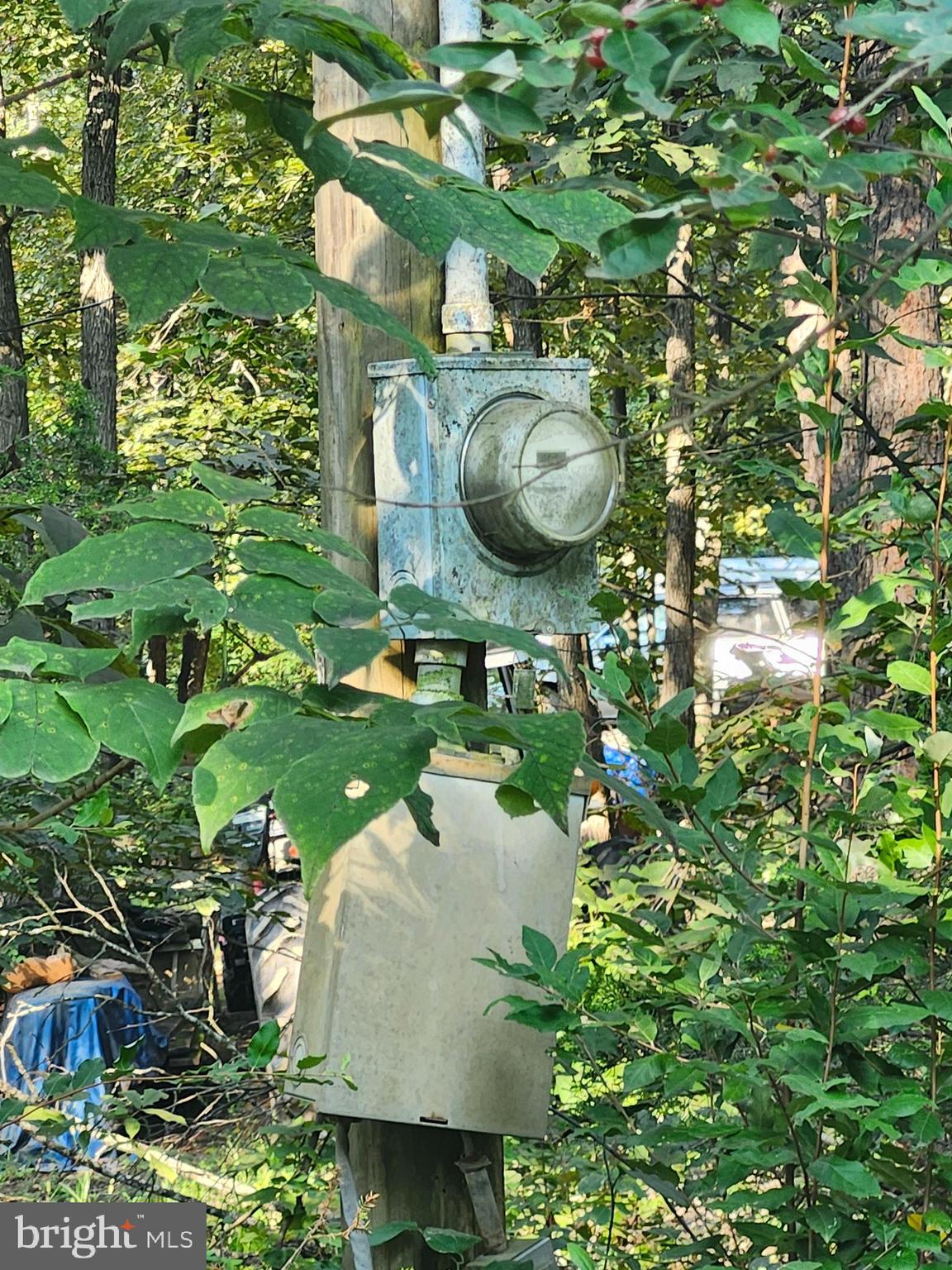 LOT 79 MYSTIC MOUNTAIN BOULEVARD