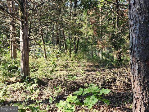 Vacant Land For Sale - LOT 79 Mystic Mountain Boulevard<br/> DELRAY, WV 26714