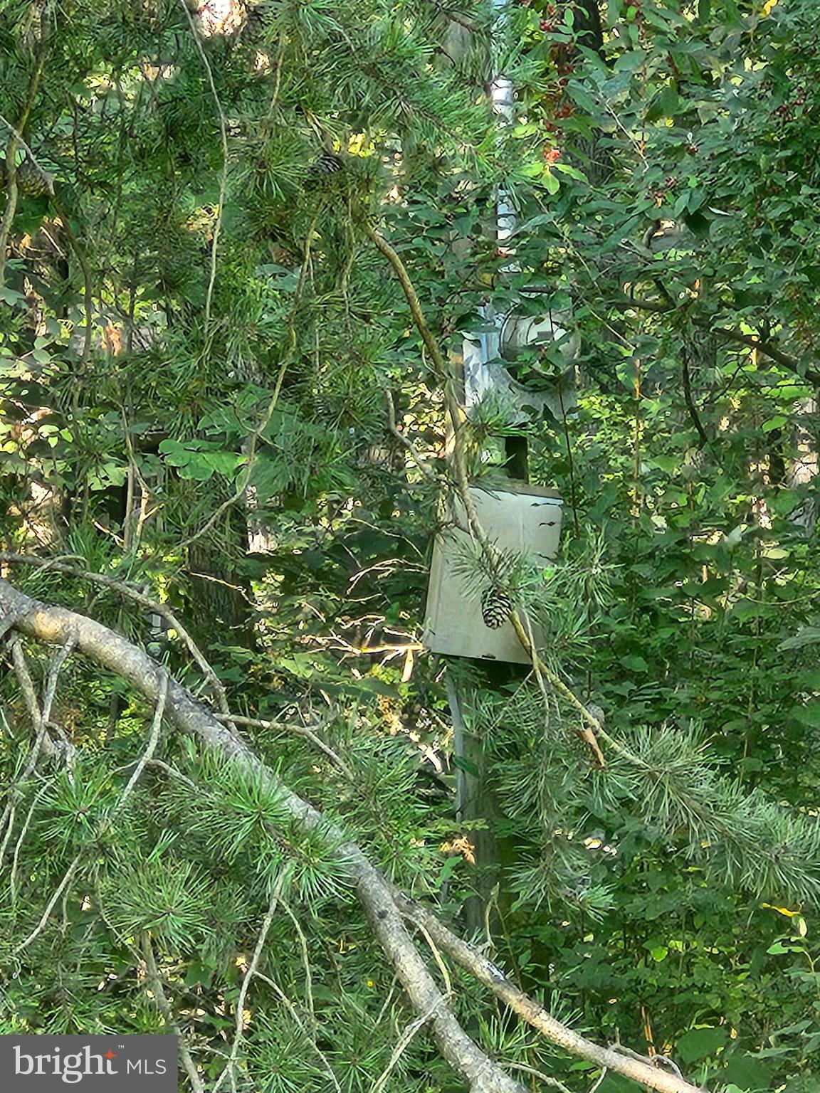 LOT 79 MYSTIC MOUNTAIN BOULEVARD