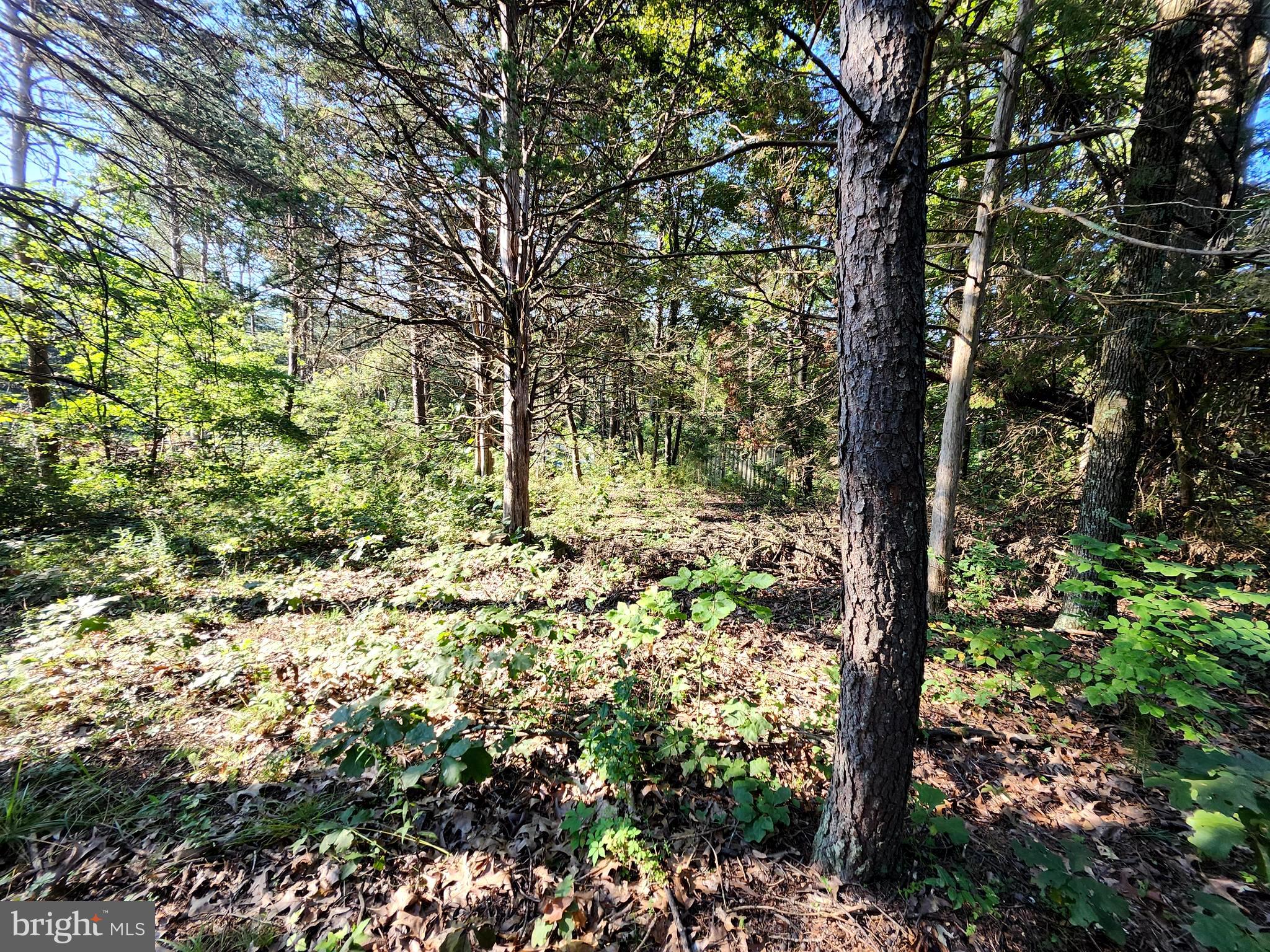 NORTH RIVER BEND - Land