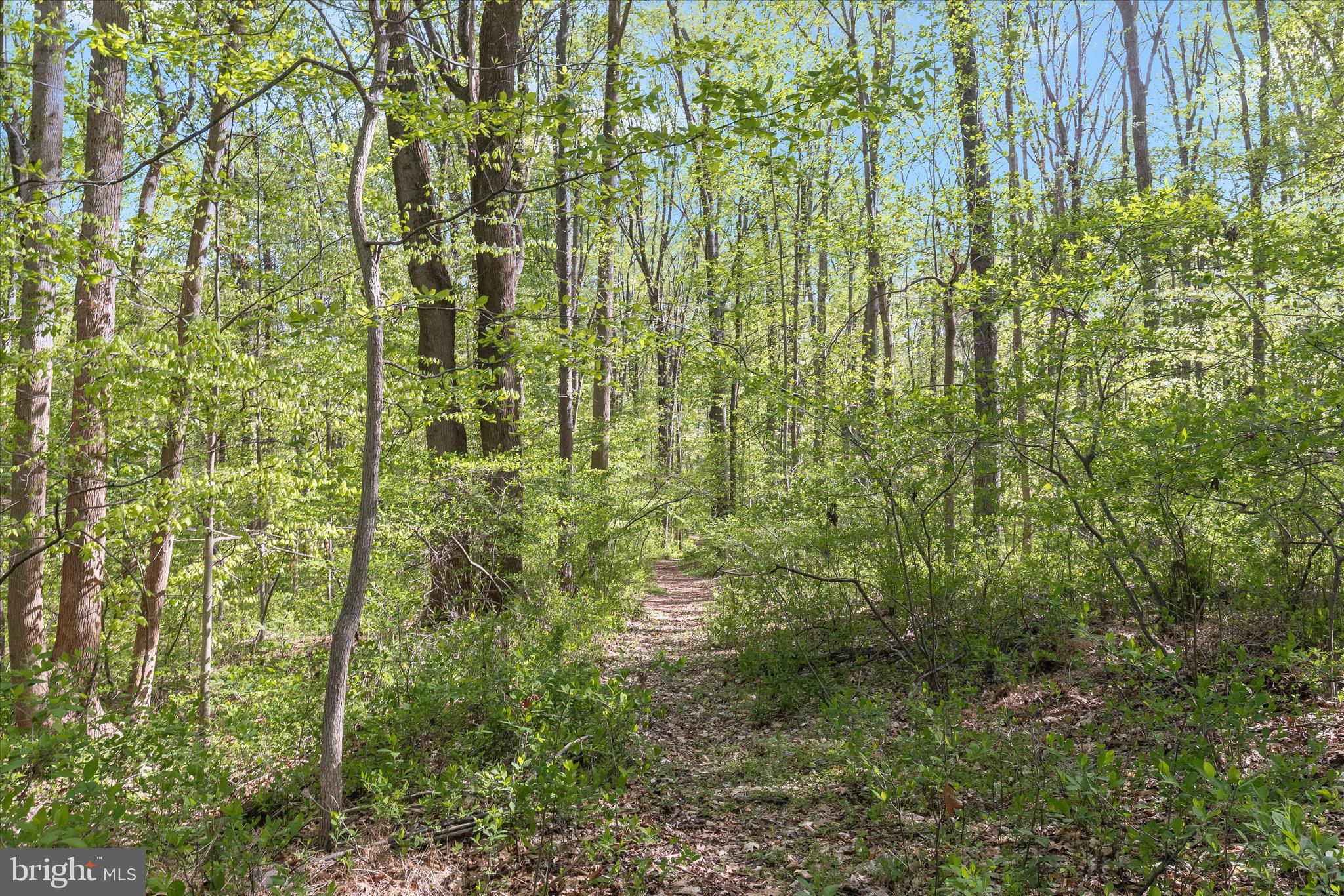 HUNTINGTON - Residential