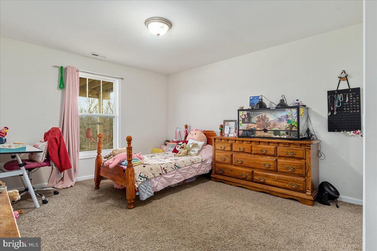 CHESTNUT HILL ESTATES - Residential