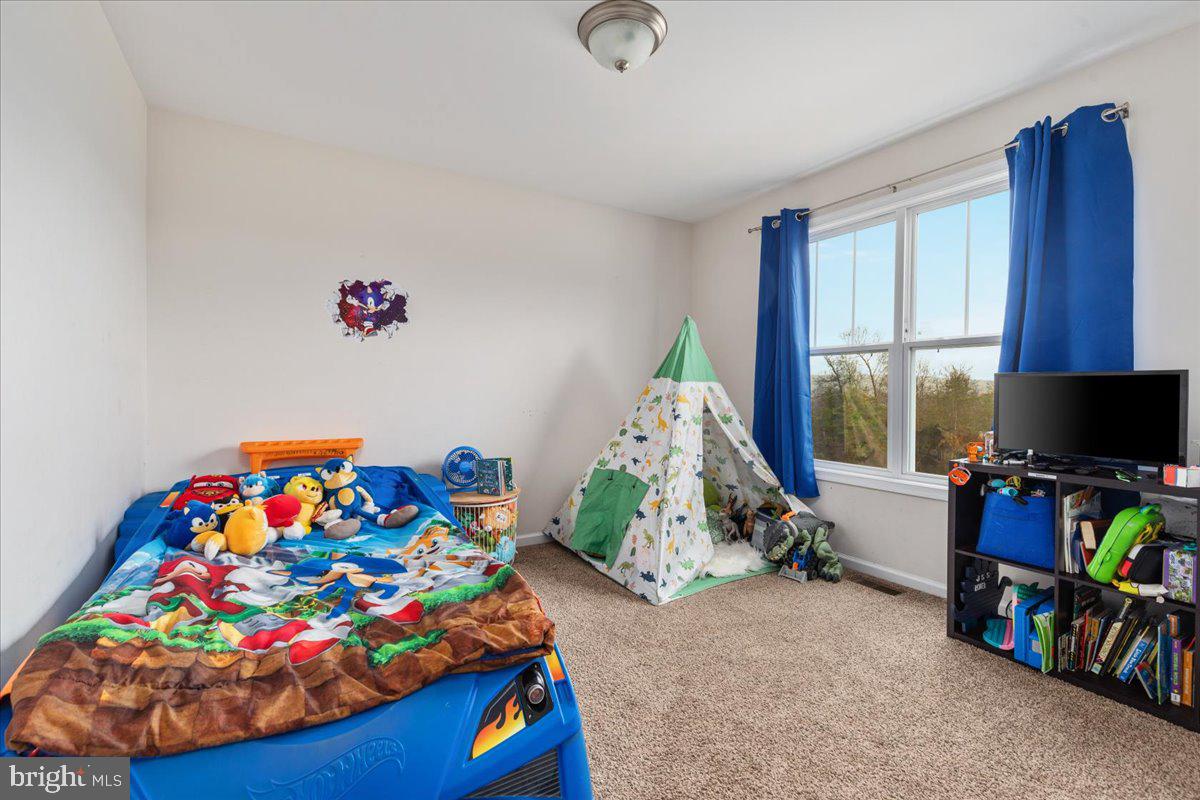 CHESTNUT HILL ESTATES - Residential