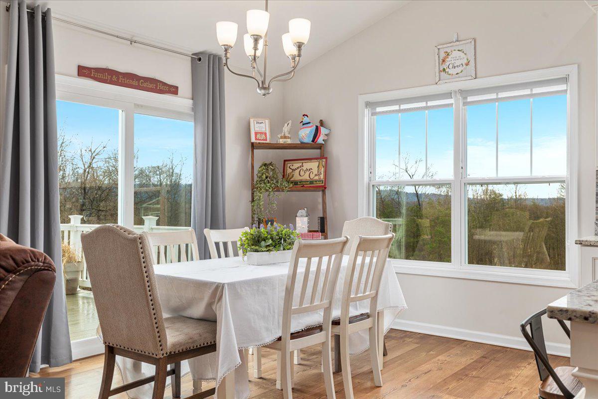 CHESTNUT HILL ESTATES - Residential