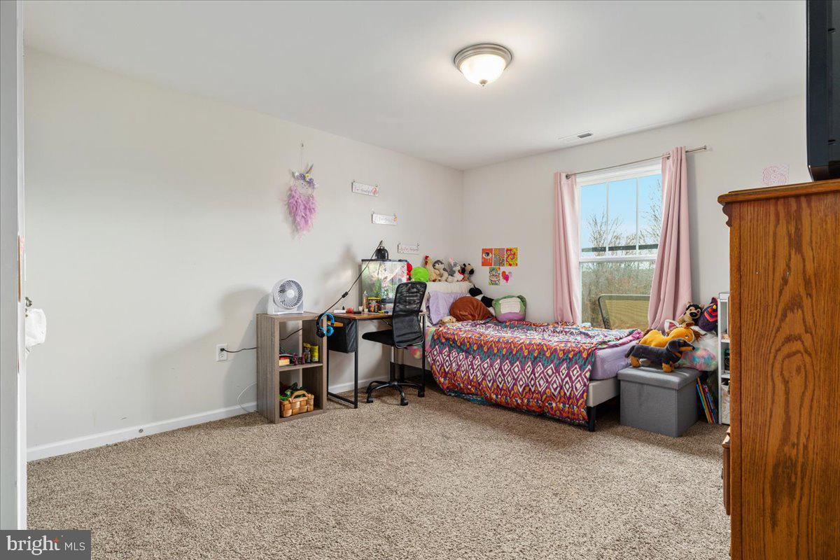 CHESTNUT HILL ESTATES - Residential