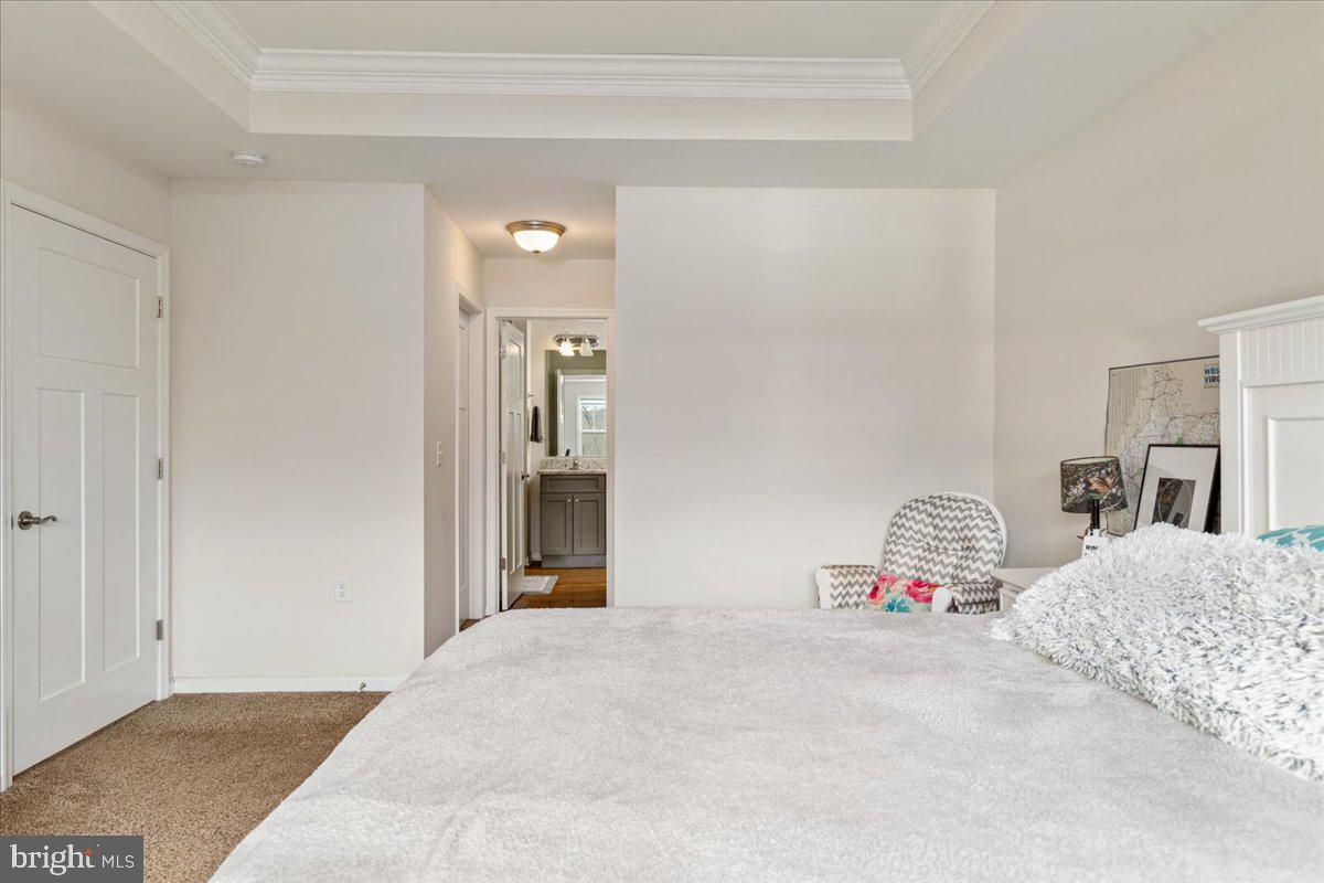 CHESTNUT HILL ESTATES - Residential