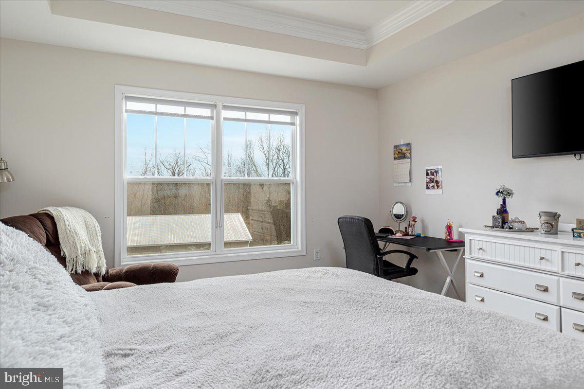 CHESTNUT HILL ESTATES - Residential