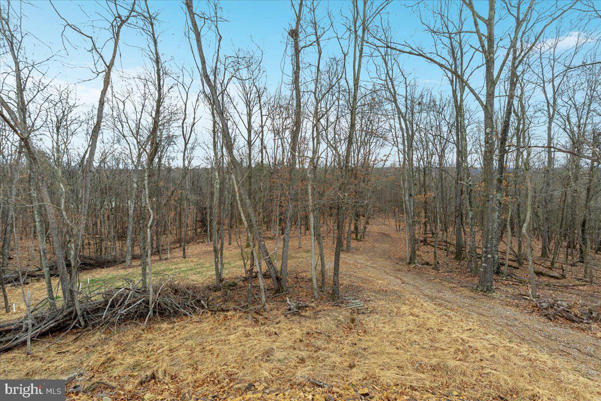 CHESTNUT HILL ESTATES - Residential