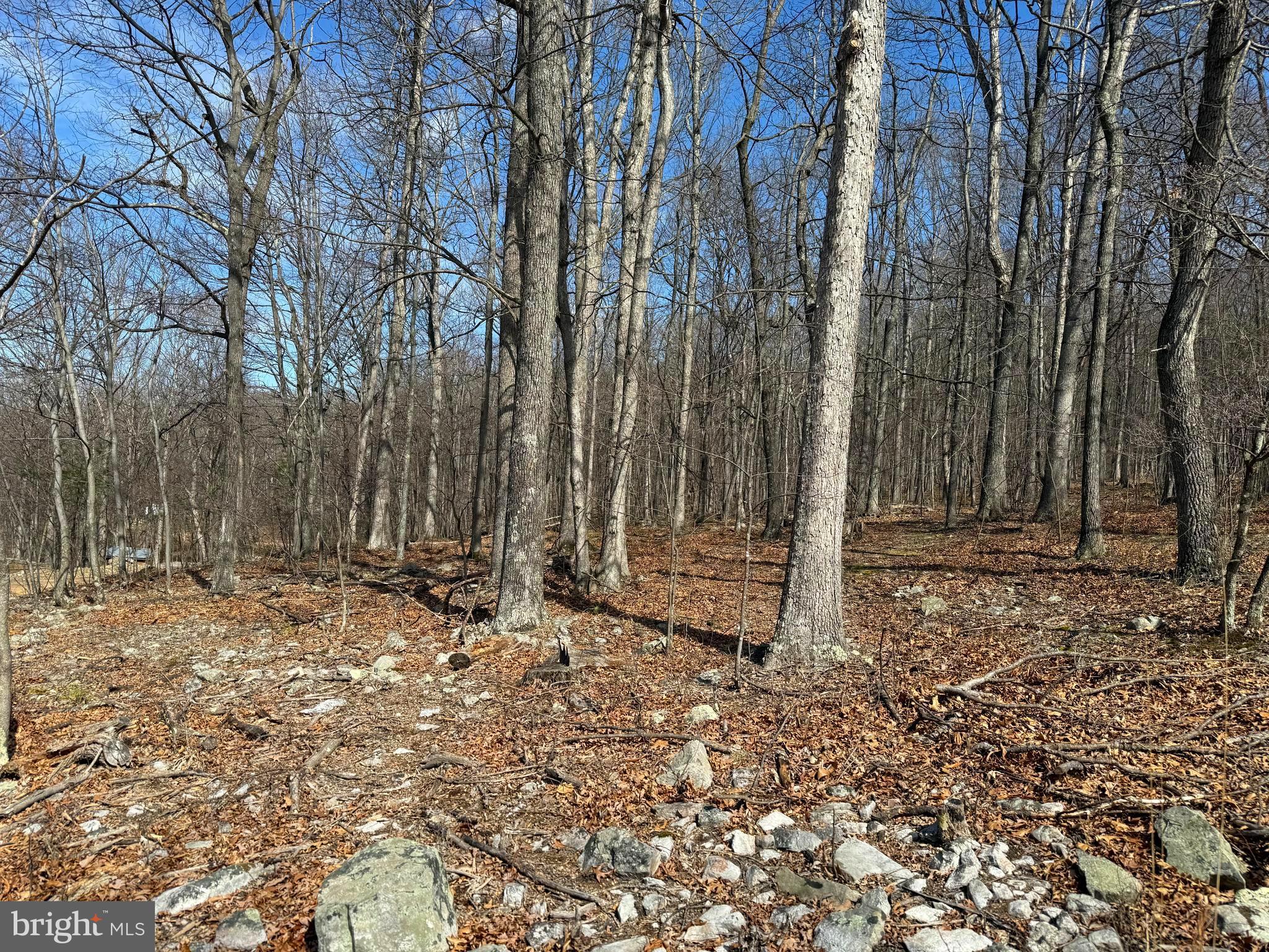 NATHANIEL MOUNTAIN HEIGHTS - Land