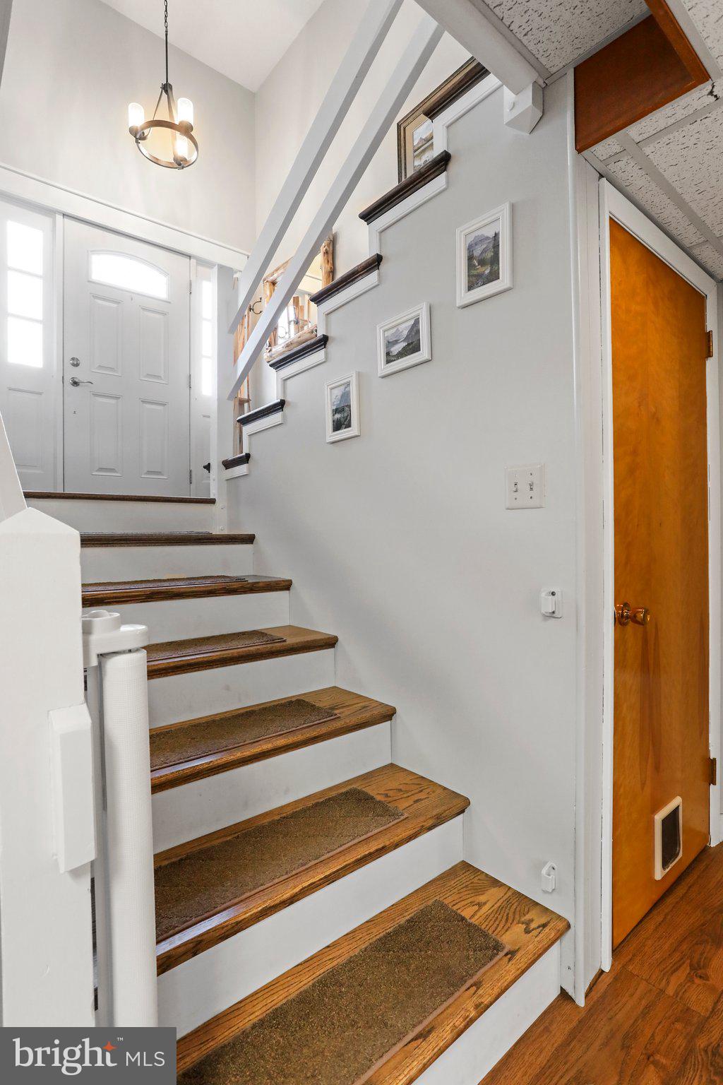 BEL AIR - Residential