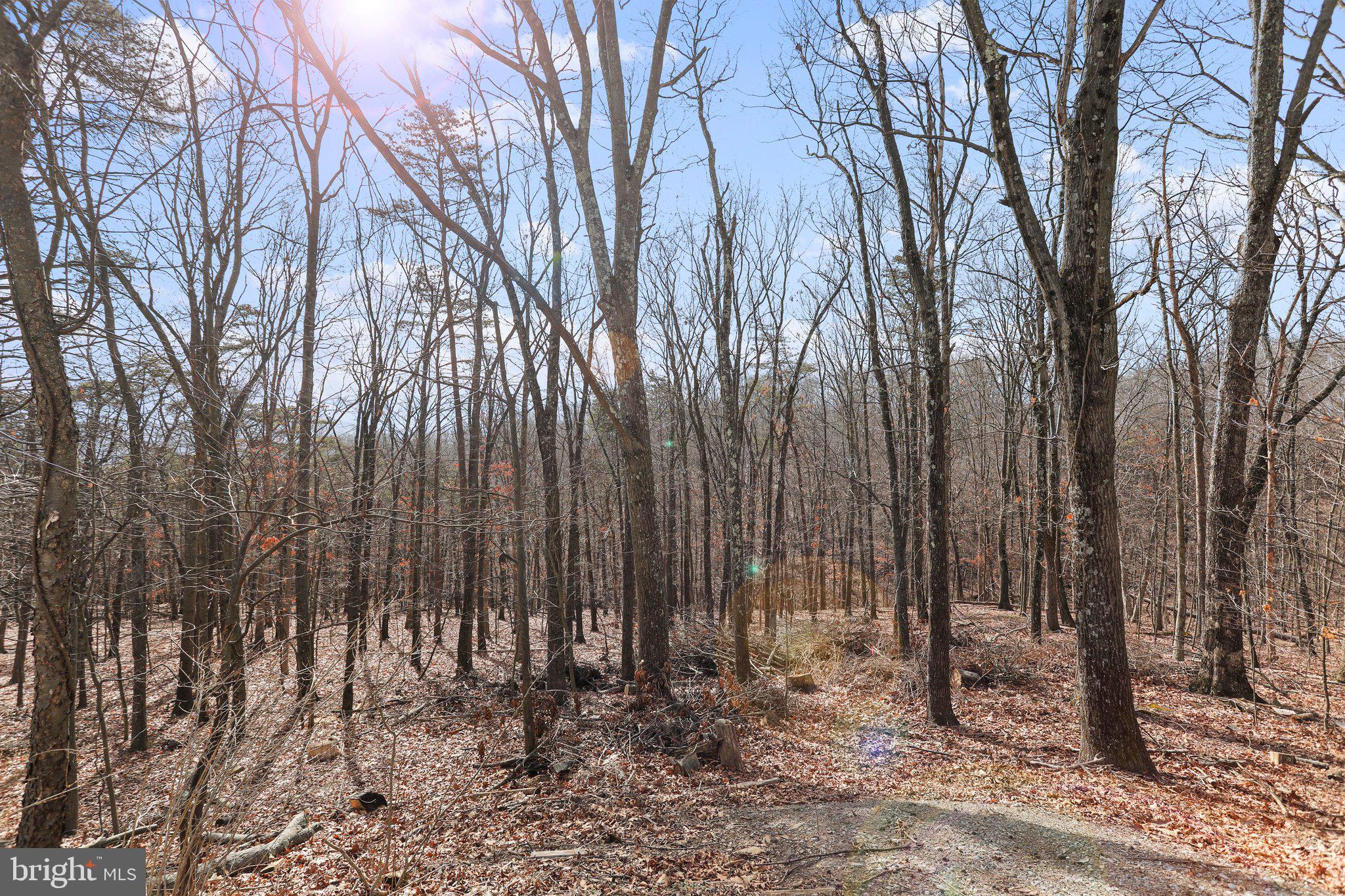 BEL AIR - Residential