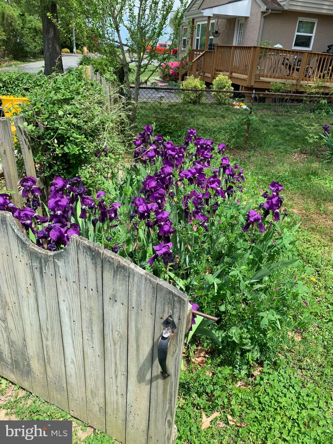 IDLEWILDE ACRES - Residential Lease