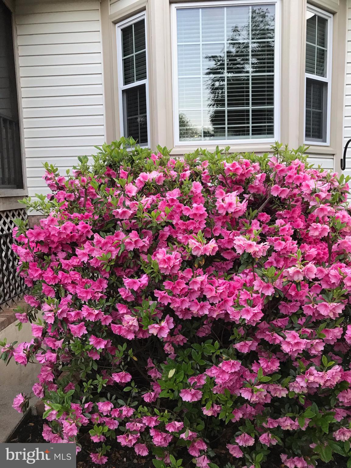 BEAUCLAIRE PLANTATION - Residential