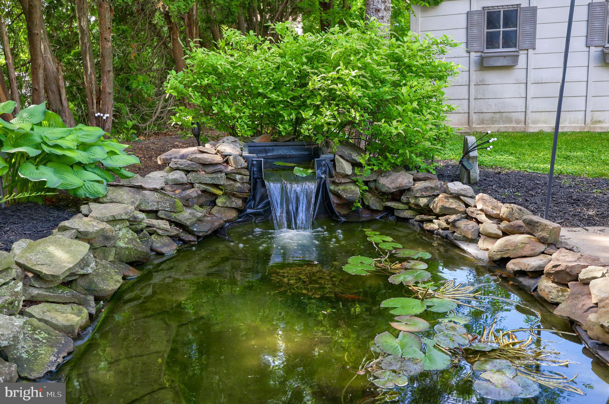 CHESTNUT HILL - Residential