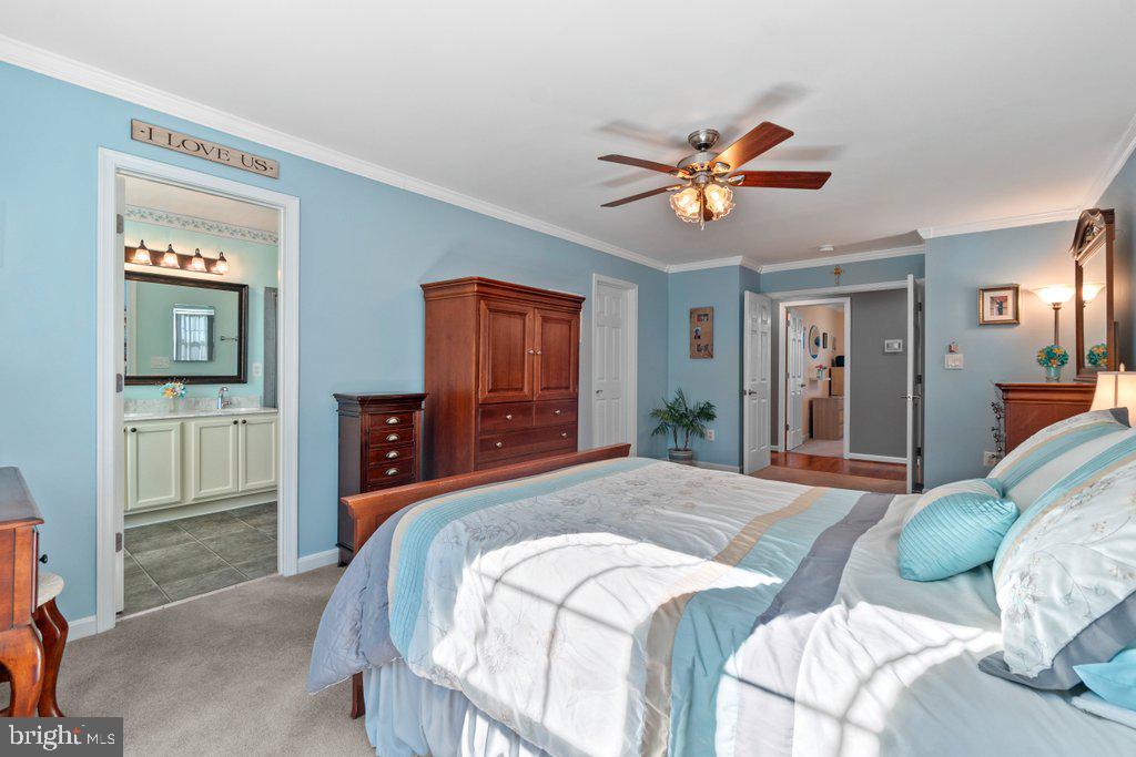 WHITE MARSH - Residential