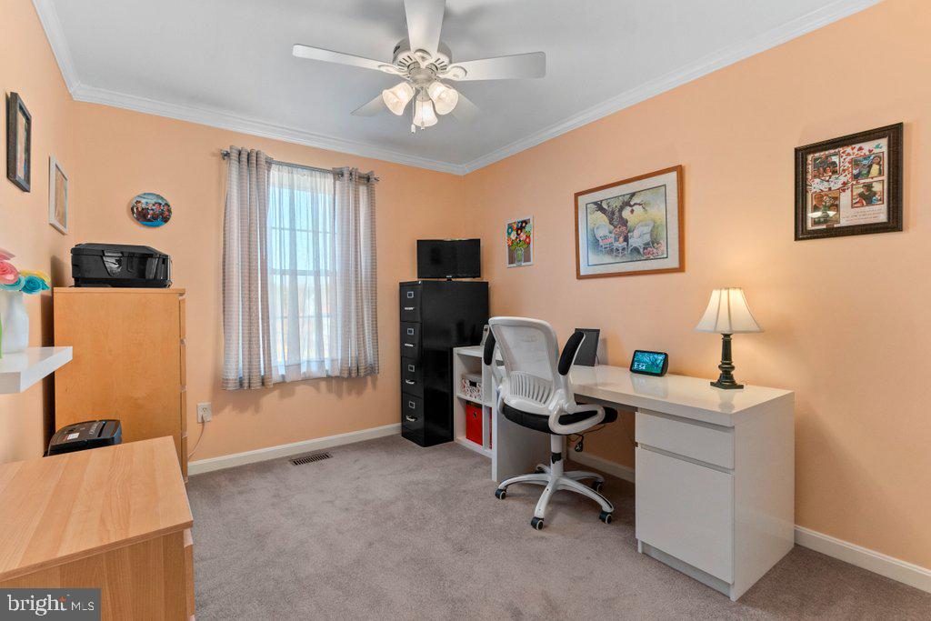 WHITE MARSH - Residential