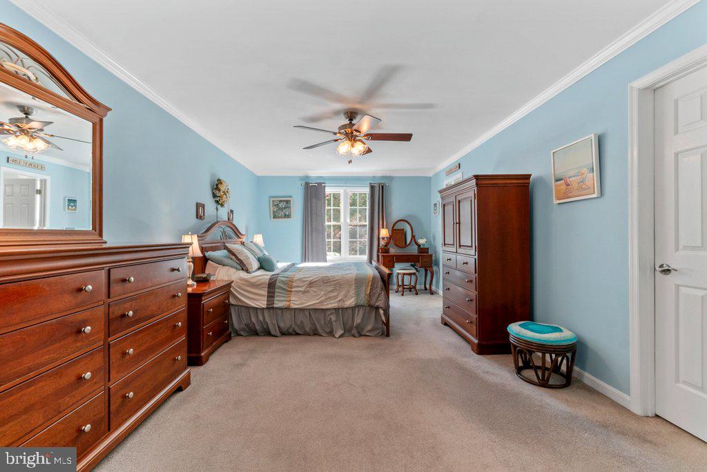 WHITE MARSH - Residential