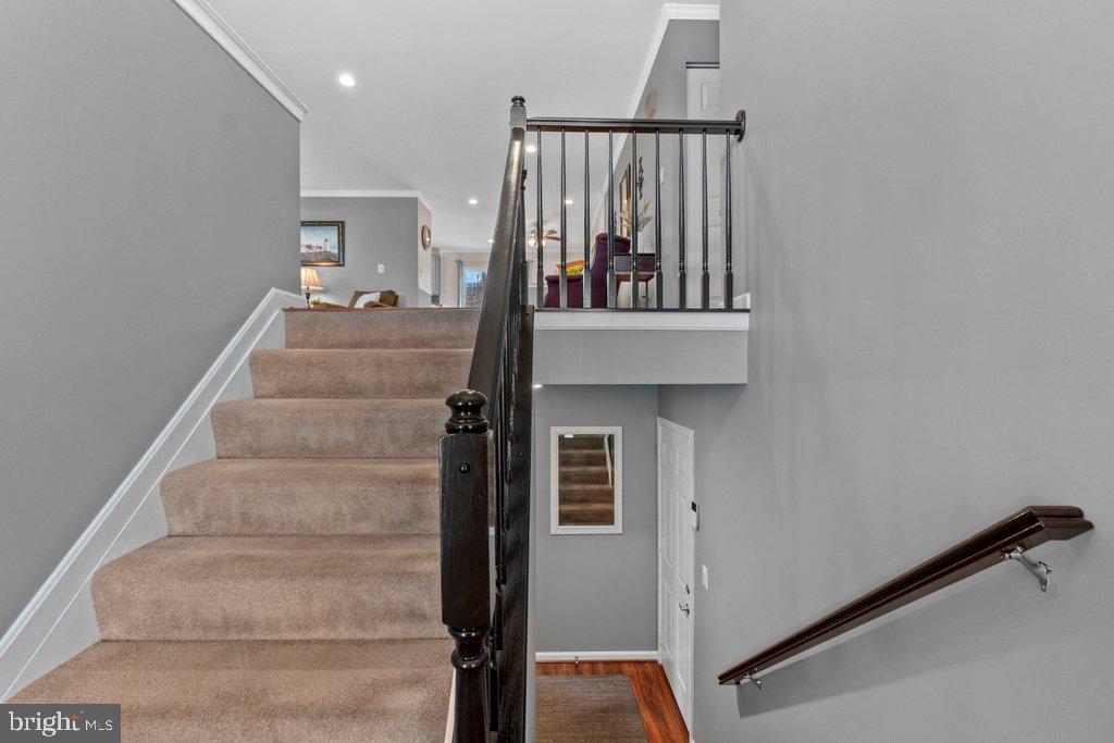 WHITE MARSH - Residential