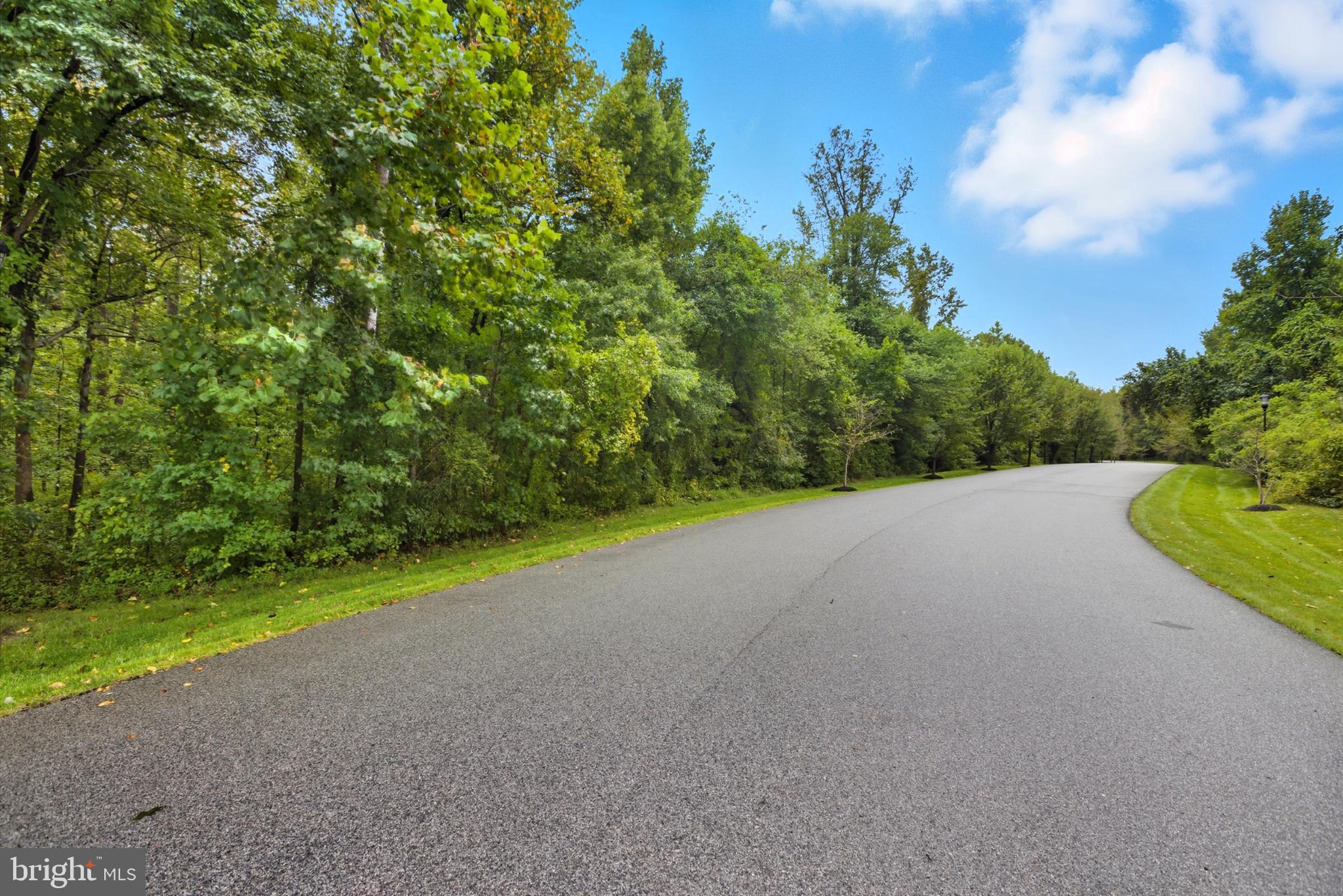 WOODS OF WOODMORE - Residential