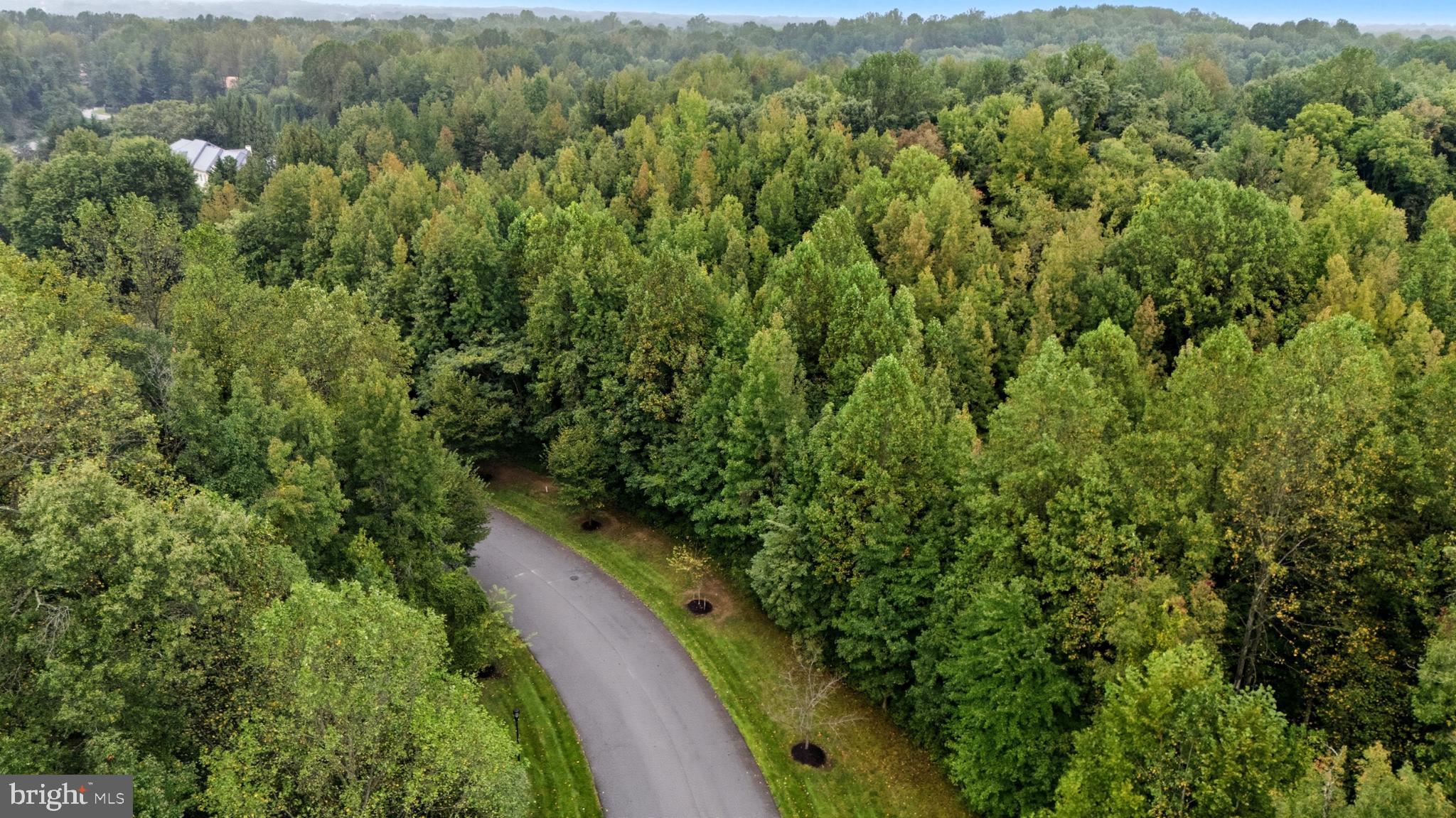 WOODS OF WOODMORE - Residential