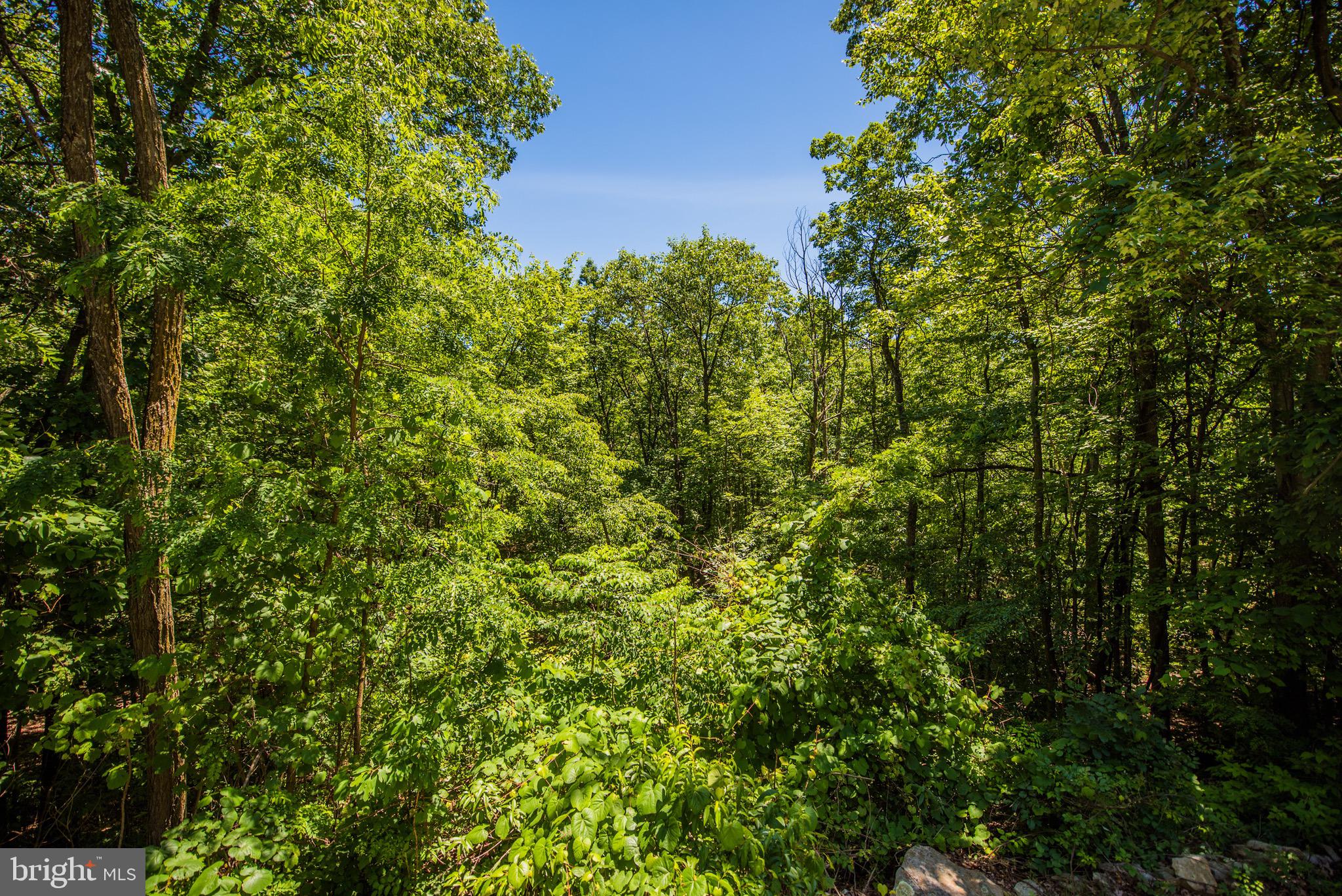 VALLEY HIGH TIMBER FARMS - Residential
