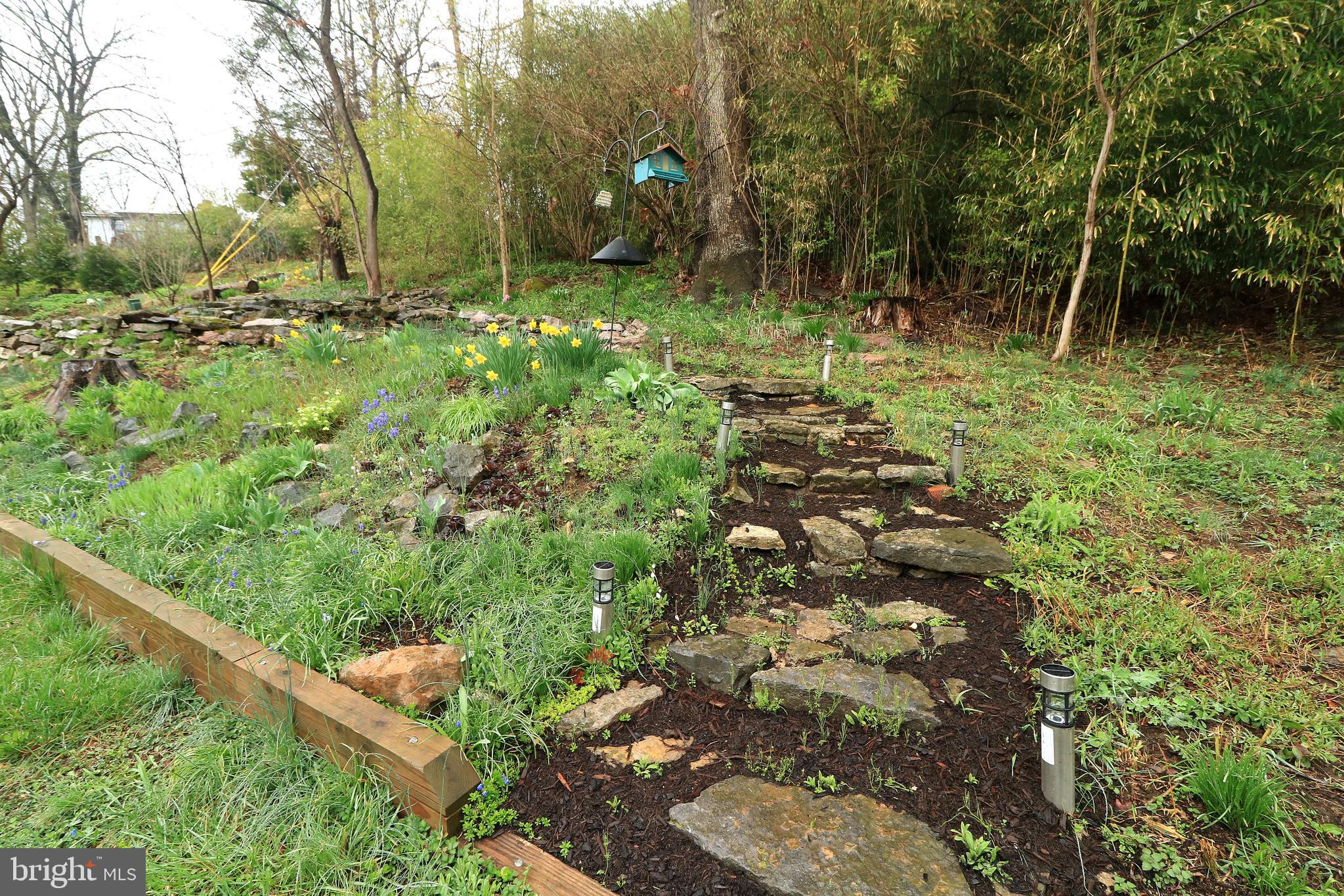 HOLMES-FOSTER - Residential