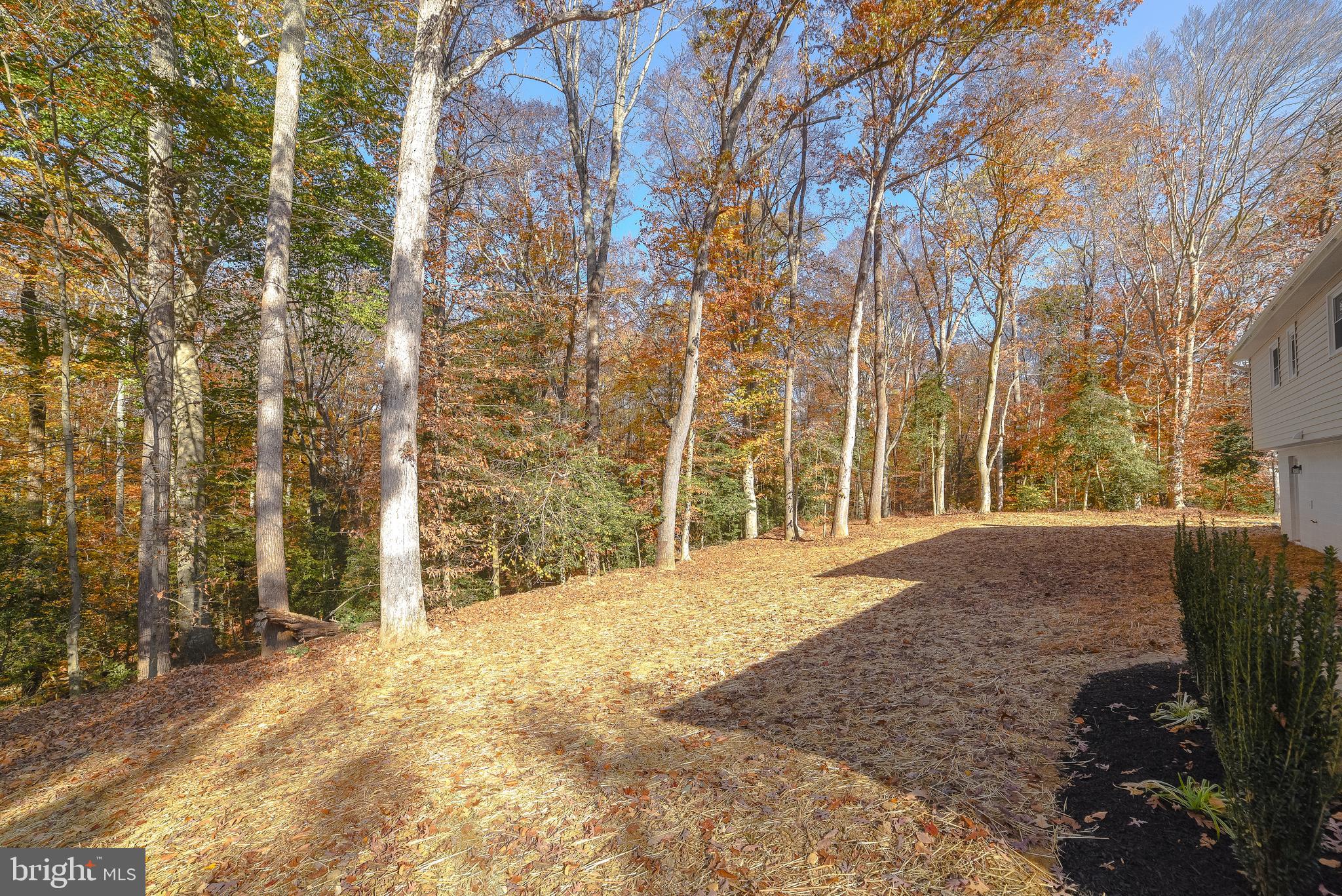 COUNTRY LAKES - Residential