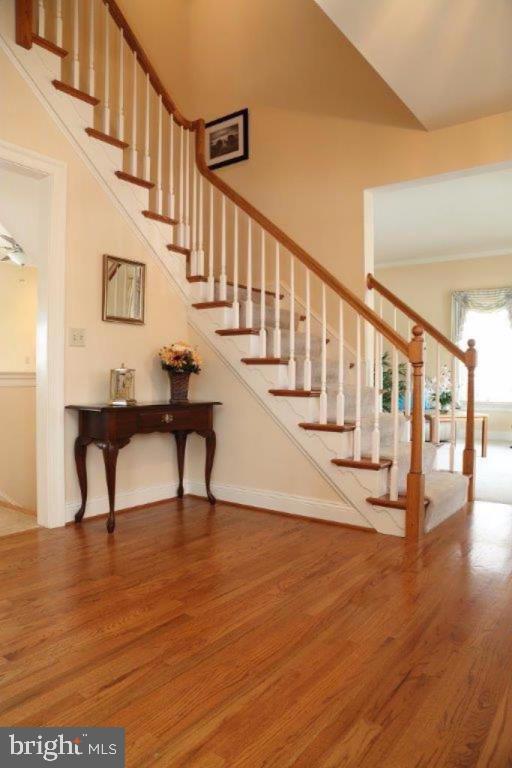 OLDE FIELD - Residential