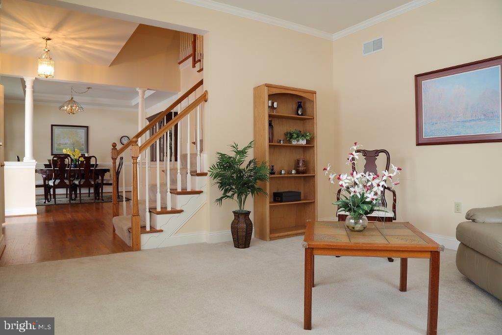 OLDE FIELD - Residential