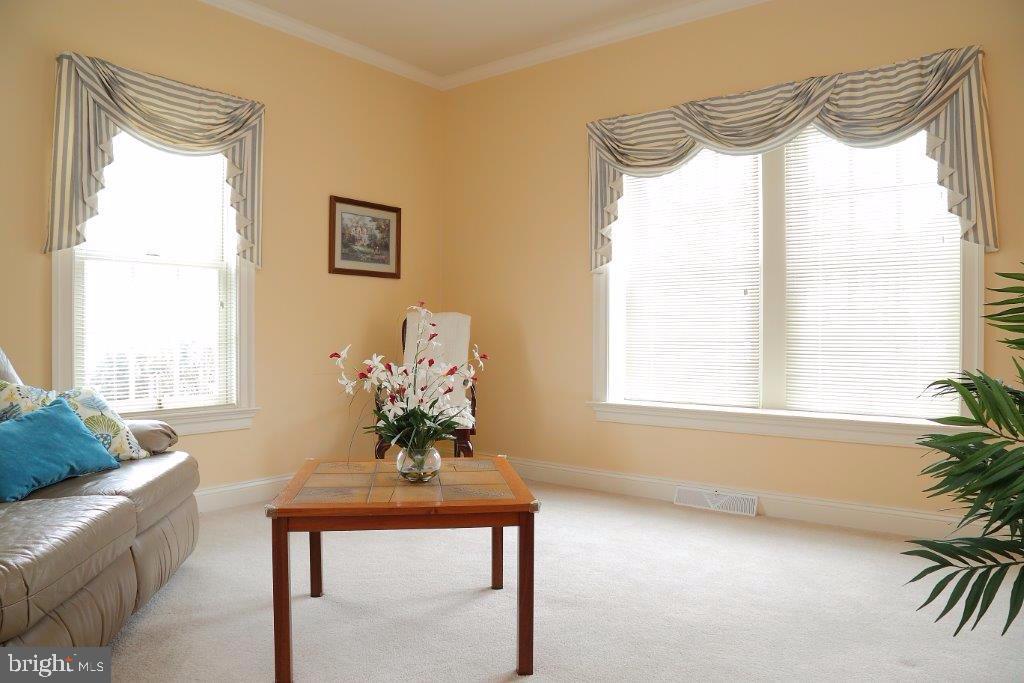 OLDE FIELD - Residential
