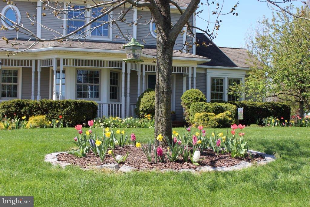 OLDE FIELD - Residential