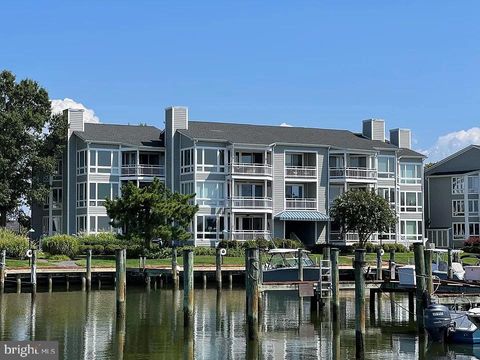 230 OYSTER COVE DRIVE GRASONVILLE MD 21638