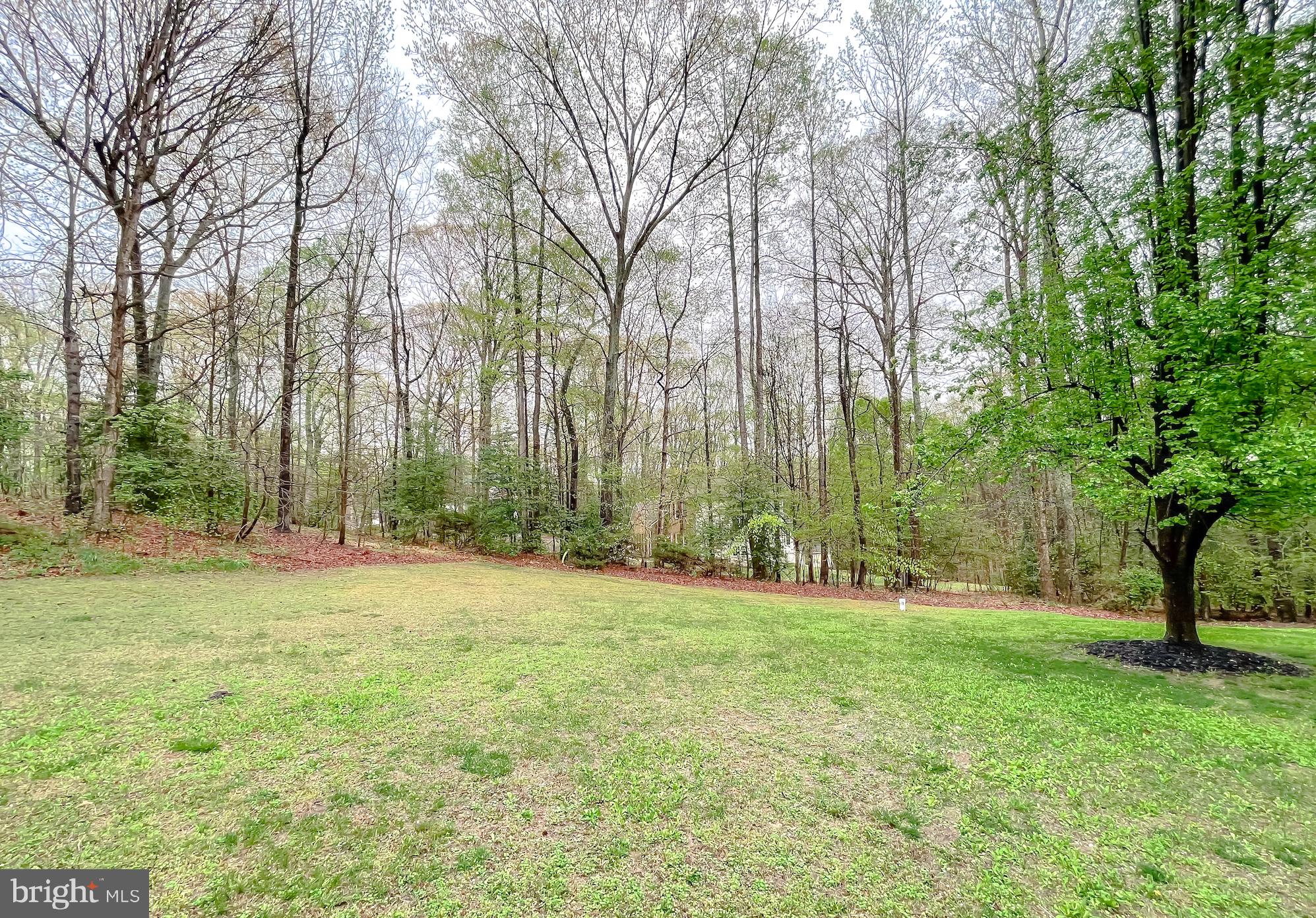 CARRIAGE CROSSING - Residential