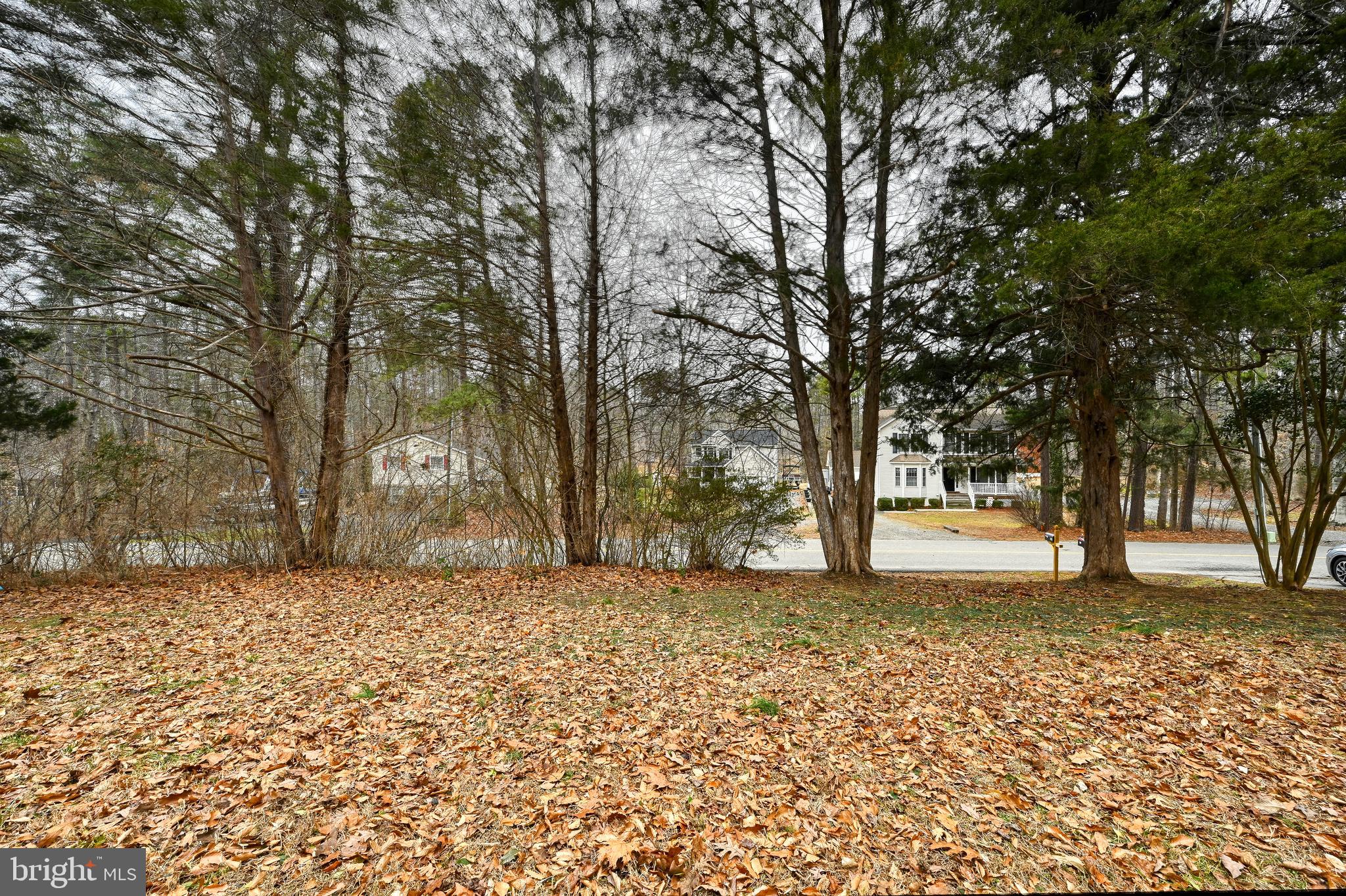 LAKE CAROLINE - Residential