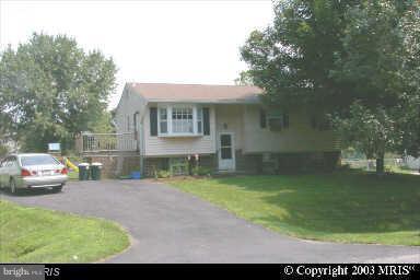 THE PLANTATIONS - Farm