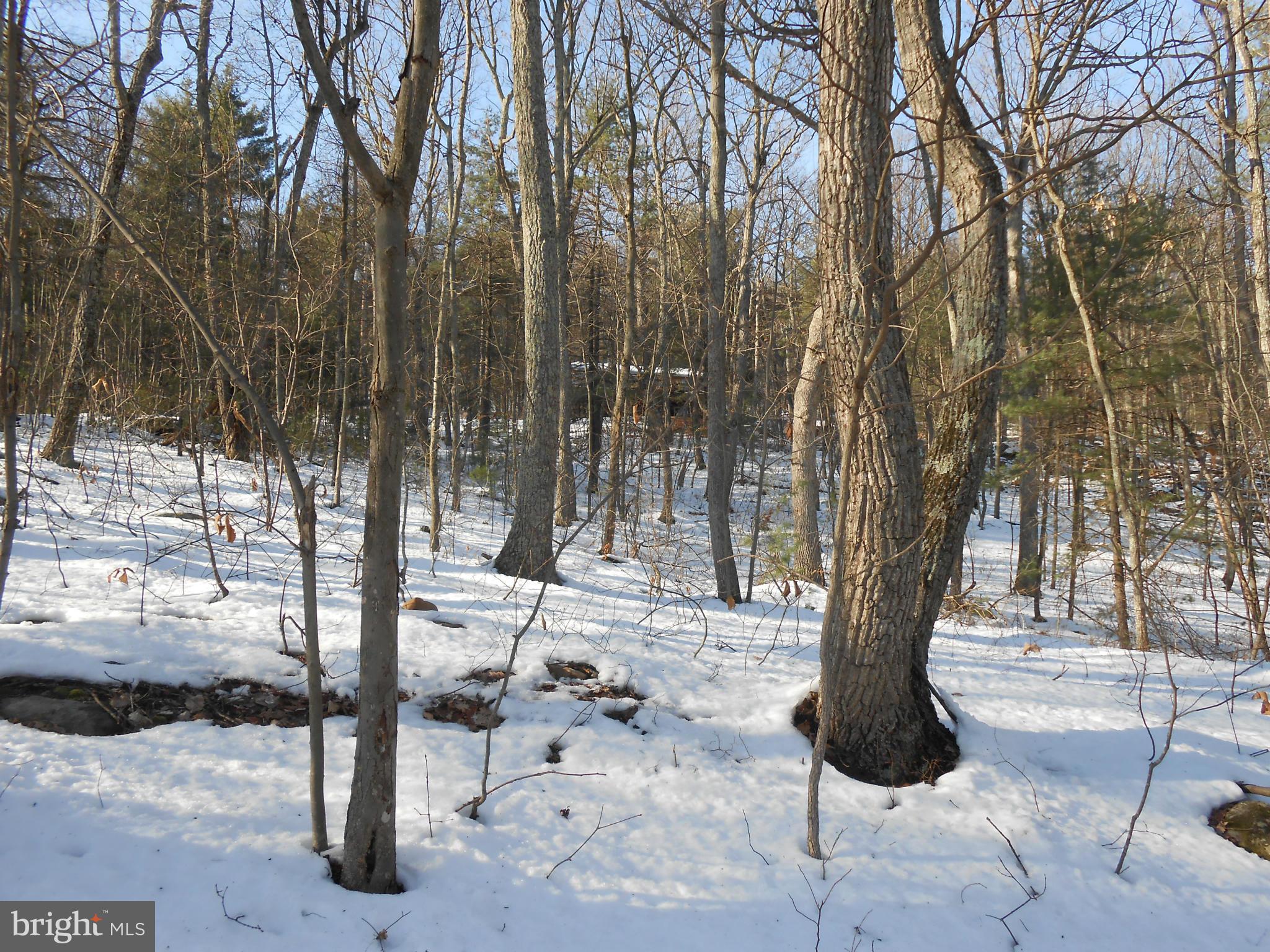 EDWARDS RUN - Residential