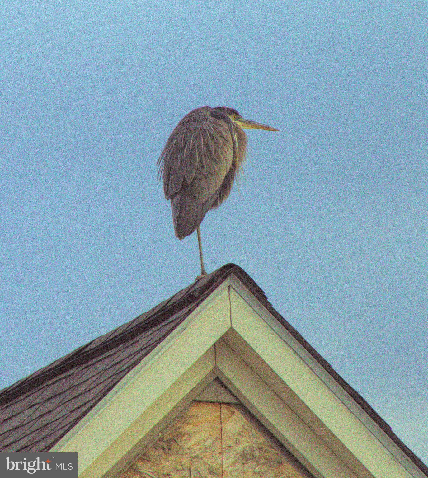 VICTORIA FALLS - Residential