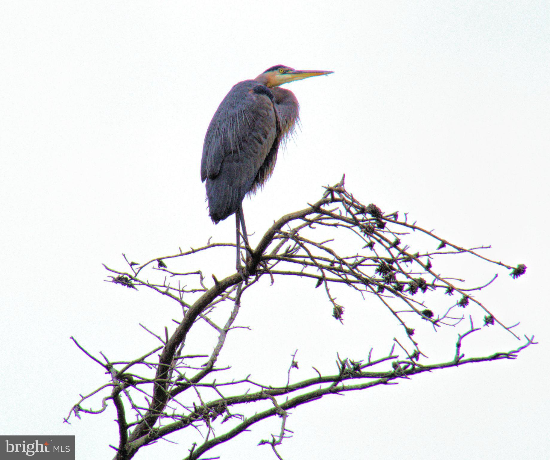 VICTORIA FALLS - Residential