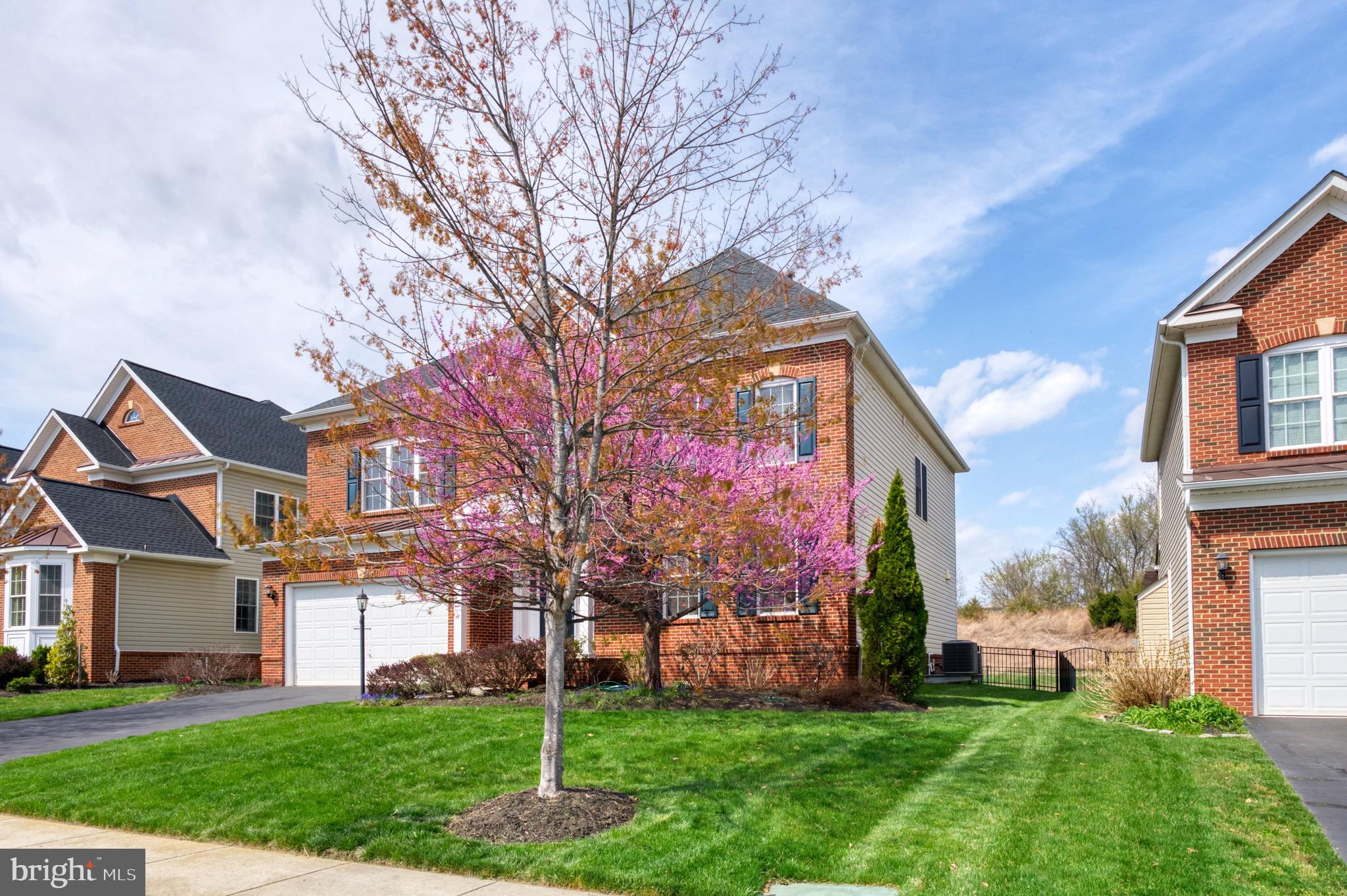 BRAMBLETON - Residential