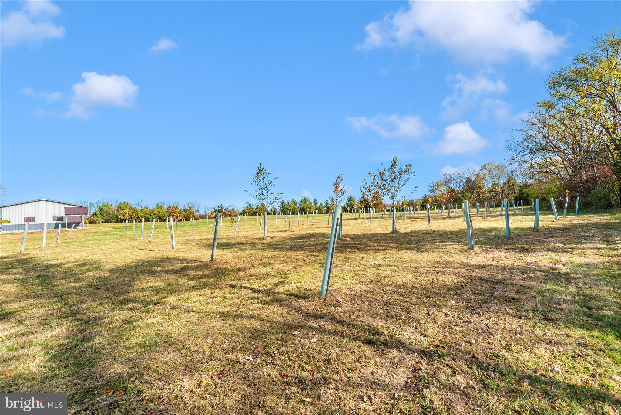 NONE, RURAL - Residential