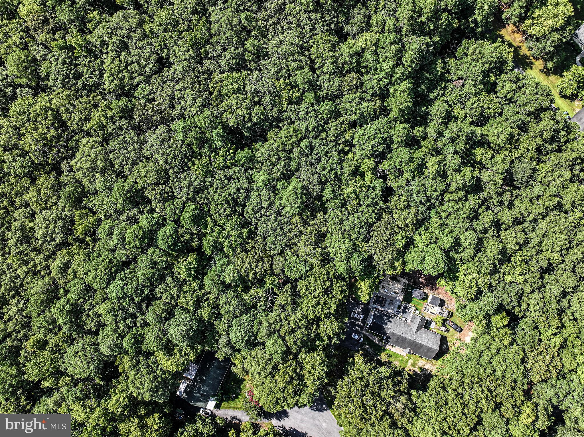 MARTIN COURT